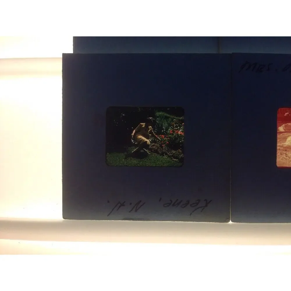 Lot of 6 Vtg 50s Keene NH New Hampshire Snow Dog Sled Photograph Color Slides